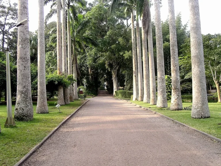 Aburi Botanical Gardens — Ghana