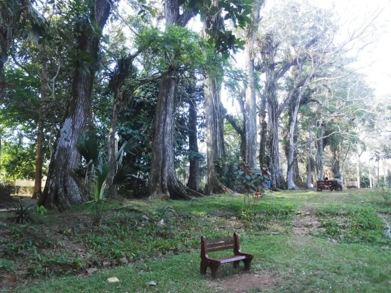 Aburi Botanical Gardens — Ghana