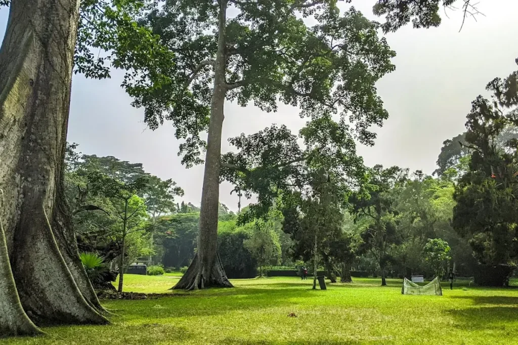 Aburi Botanical Gardens — Ghana