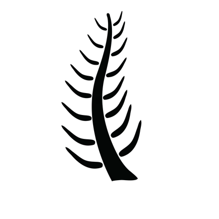 Nyame Nti Adinkra symbol