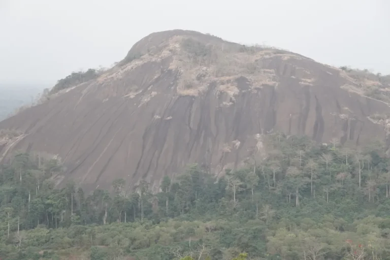 Ahafo Region, Ghana: Cocoa Country & Quiet Forests