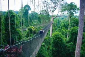 Ahafo Region, Ghana: Cocoa Country & Quiet Forests