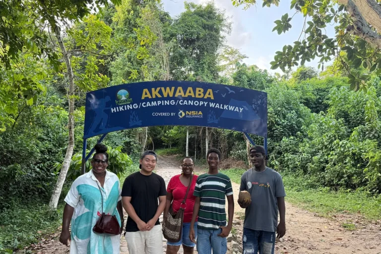 Amedzofe — Ghana