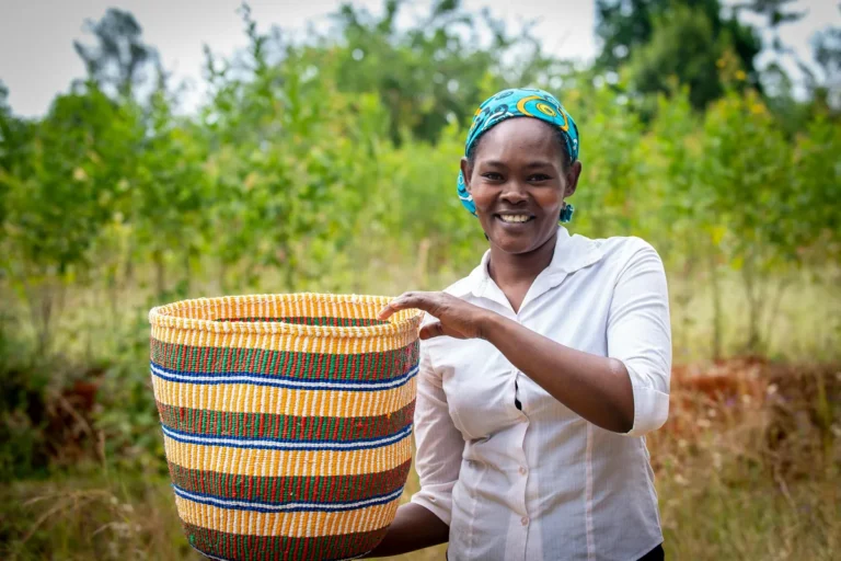 Bolga Baskets: Where to Buy Ghana’s Famous Straw Baskets
