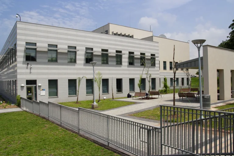 Embassies & Consulates for Ghana: Visas & Help Abroad