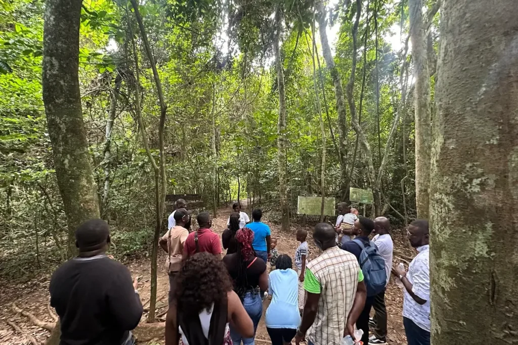 Kakum Canopy Walk — Ghana