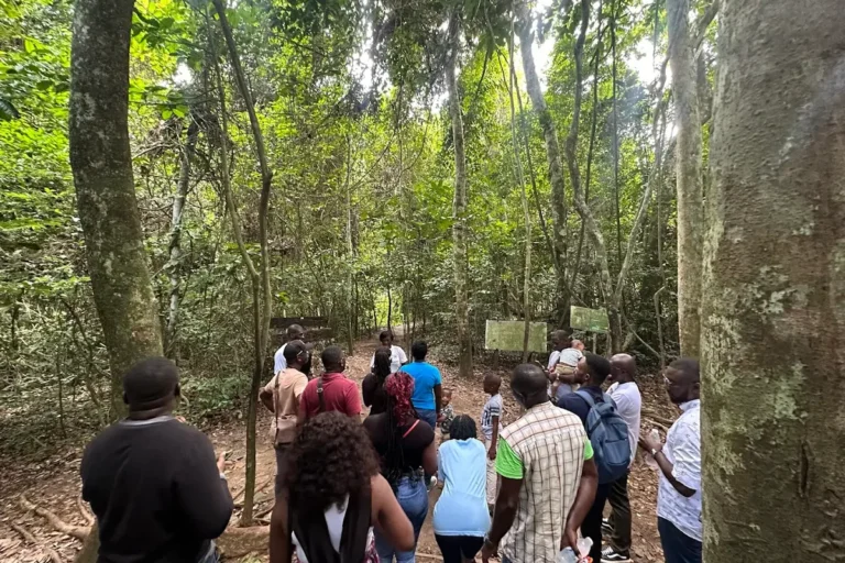 Kakum Canopy Walk — Ghana