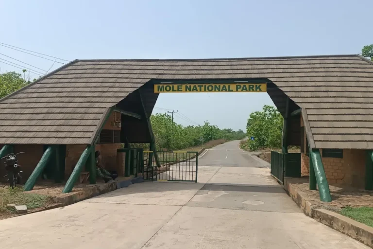 Mole National Park — Ghana