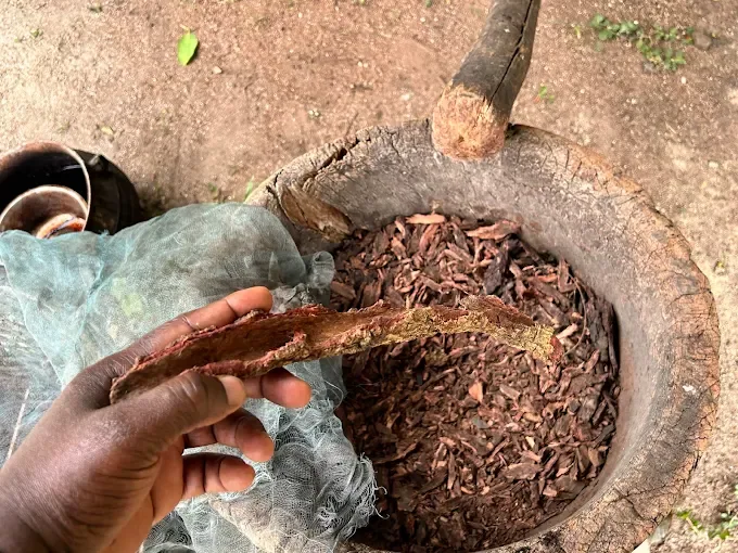 Ntonso Adinkra Village — Ghana