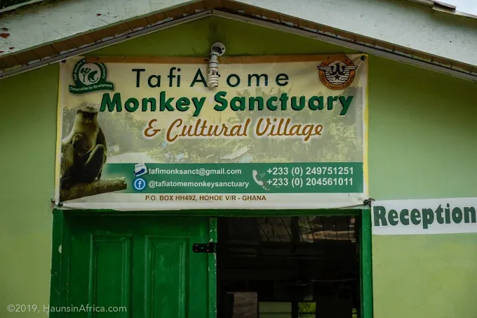 Tafi Atome Monkey Sanctuary — Ghana