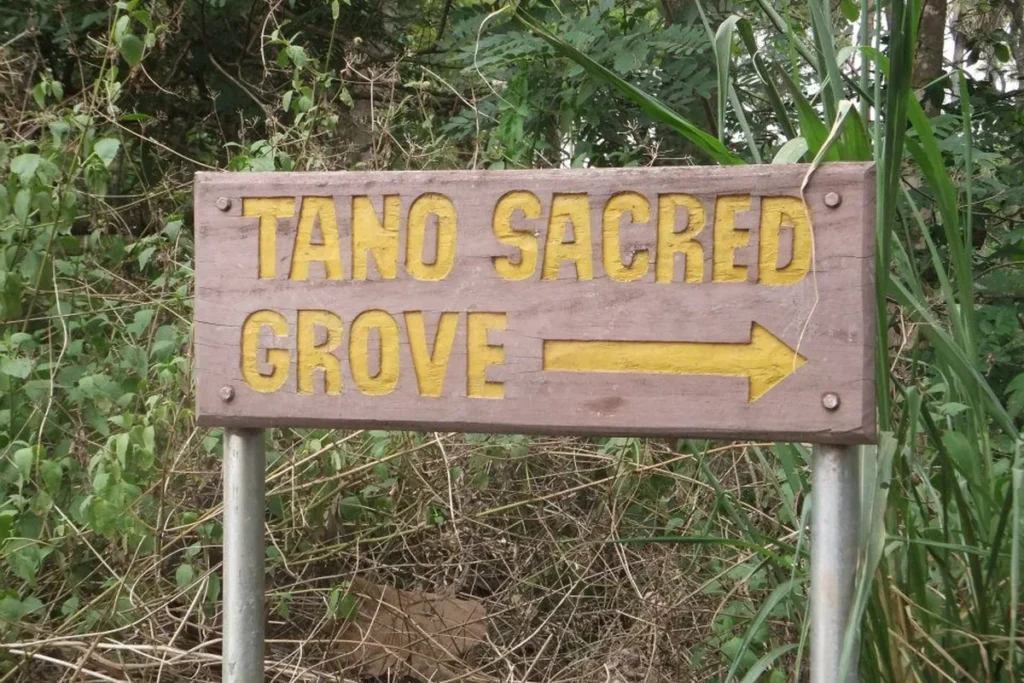 Tano Sacred Grove & Shrine