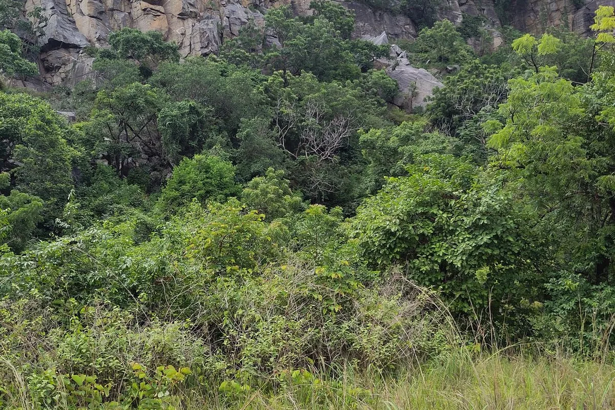 Volta Region, Ghana: Waterfalls, Mountains & Monkeys